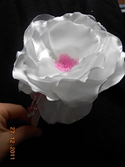 click for enlarge 1920 X 2560 137,1 Kb picture