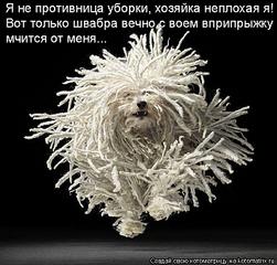 click for enlarge 700 X 668 80,4 Kb picture