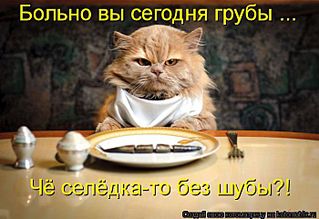 click for enlarge 700 X 480 53,5 Kb picture
