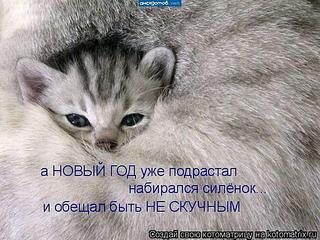 click for enlarge 600 X 450 59,2 Kb picture