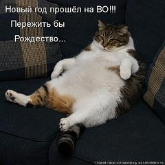 click for enlarge 750 X 750 105,4 Kb picture