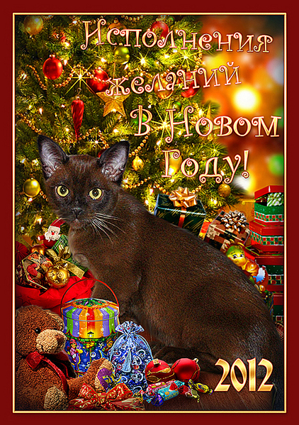 click for enlarge 493 X 700 531,7 Kb picture