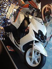 click for enlarge 1152 X 1536 260,9 Kb picture