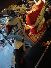 click for enlarge 1152 X 1536 230,0 Kb picture