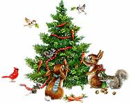 click for enlarge 443 X 350 58,3 Kb picture