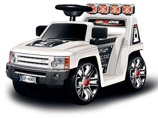 click for enlarge 800 X 600 57,8 Kb picture