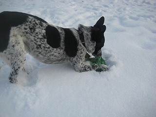 click for enlarge 1920 X 1440 824,3 Kb picture