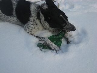 click for enlarge 1920 X 1440 756,3 Kb picture