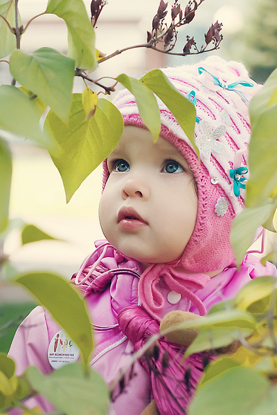 click for enlarge 783 X 1174 605,4 Kb picture