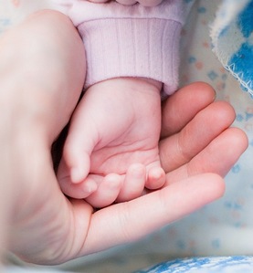 click for enlarge 480 X 518 45,6 Kb picture