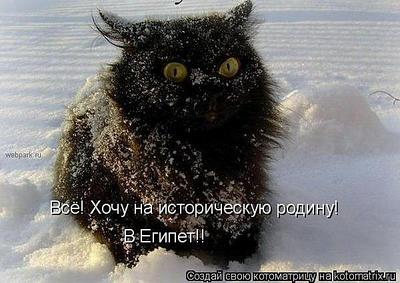click for enlarge 600 X 425  48,9 Kb picture