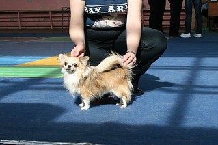 click for enlarge 600 X 399 56,5 Kb picture