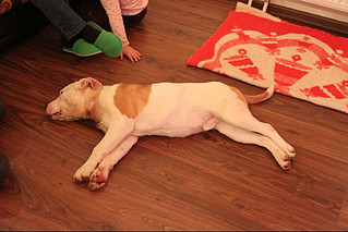 click for enlarge 800 X 533 123,7 Kb picture