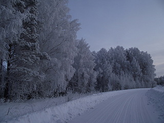 click for enlarge 800 X 600 143,6 Kb picture