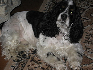 click for enlarge 640 X 480 112,1 Kb picture