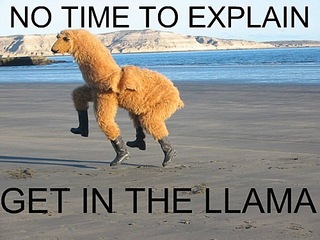 click for enlarge 500 X 375 56,7 Kb picture