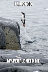 click for enlarge 500 X 752 65,8 Kb picture
