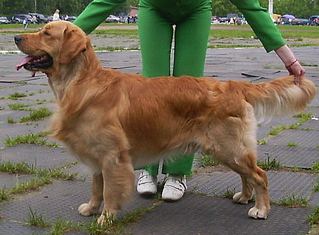 click for enlarge 502 X 370 80,0 Kb picture