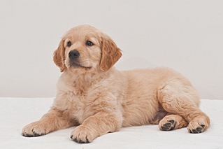 click for enlarge 640 X 427 115,1 Kb picture