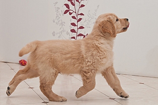 click for enlarge 640 X 427 128,9 Kb picture