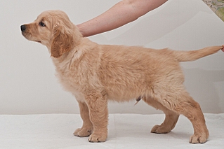 click for enlarge 640 X 427 127,1 Kb picture