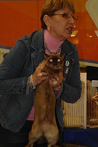 click for enlarge 532 X 800 205,9 Kb picture