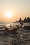 click for enlarge 318 X 479 28,9 Kb picture