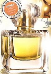 click for enlarge 262 X 380 39,5 Kb picture