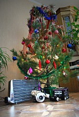 click for enlarge 687 X 1024 254,7 Kb picture