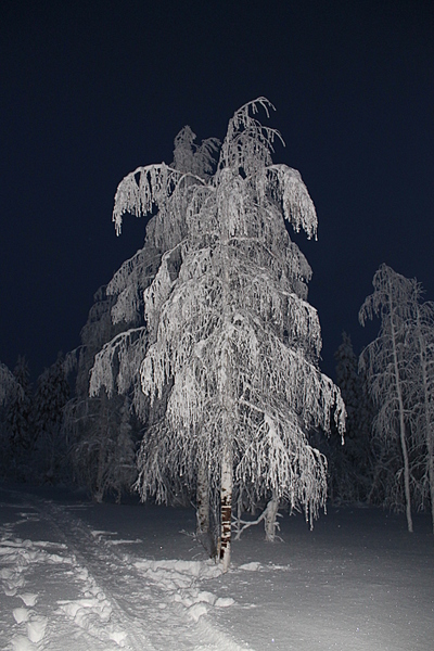 click for enlarge 1920 X 2880 391,4 Kb picture