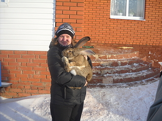 click for enlarge 1920 X 1440 229,0 Kb picture