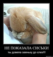 click for enlarge 439 X 480  37,9 Kb picture