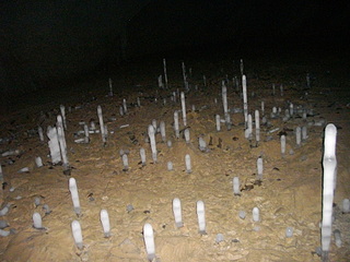 click for enlarge 1920 X 1440 764,7 Kb picture