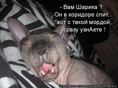 click for enlarge 640 X 480  65,5 Kb picture