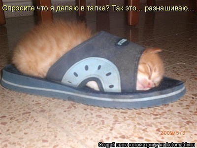 click for enlarge 640 X 480  62,1 Kb picture