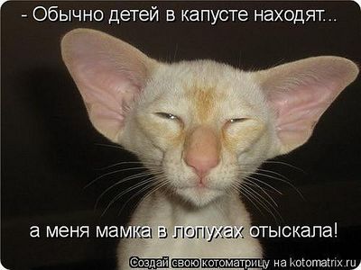click for enlarge 700 X 525  49,9 Kb picture