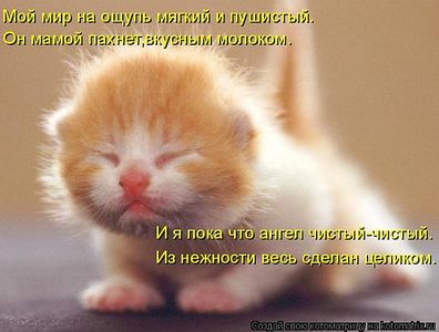 click for enlarge 700 X 530  50,2 Kb picture