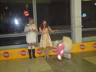 click for enlarge 448 X 336  36,3 Kb picture
