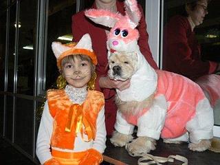 click for enlarge 448 X 336  26,4 Kb picture
