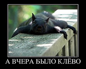 click for enlarge 760 X 615  73,6 Kb picture