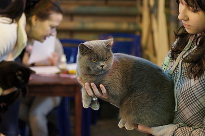 click for enlarge 540 X 359 107,5 Kb picture