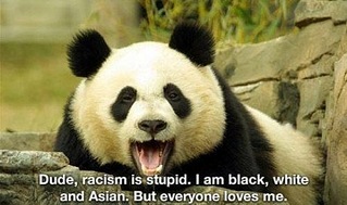 click for enlarge 500 X 296  35,8 Kb picture
