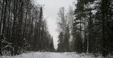 click for enlarge 1920 X 989 529,8 Kb picture
