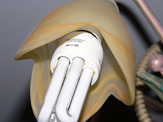 click for enlarge 1920 X 1440 872,9 Kb picture