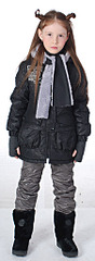 click for enlarge 376 X 1024 85,4 Kb picture