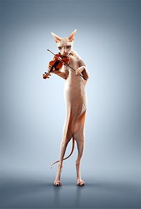 click for enlarge 600 X 887  58,9 Kb picture