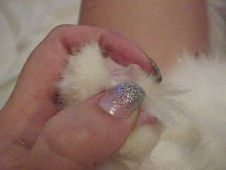 click for enlarge 640 X 480  82,7 Kb picture