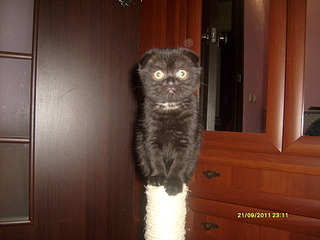 click for enlarge 1920 X 1440 686,9 Kb picture