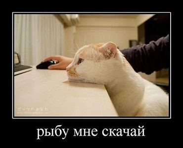 click for enlarge 604 X 489  46,1 Kb picture
