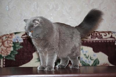 click for enlarge 1920 X 1280 166,9 Kb picture